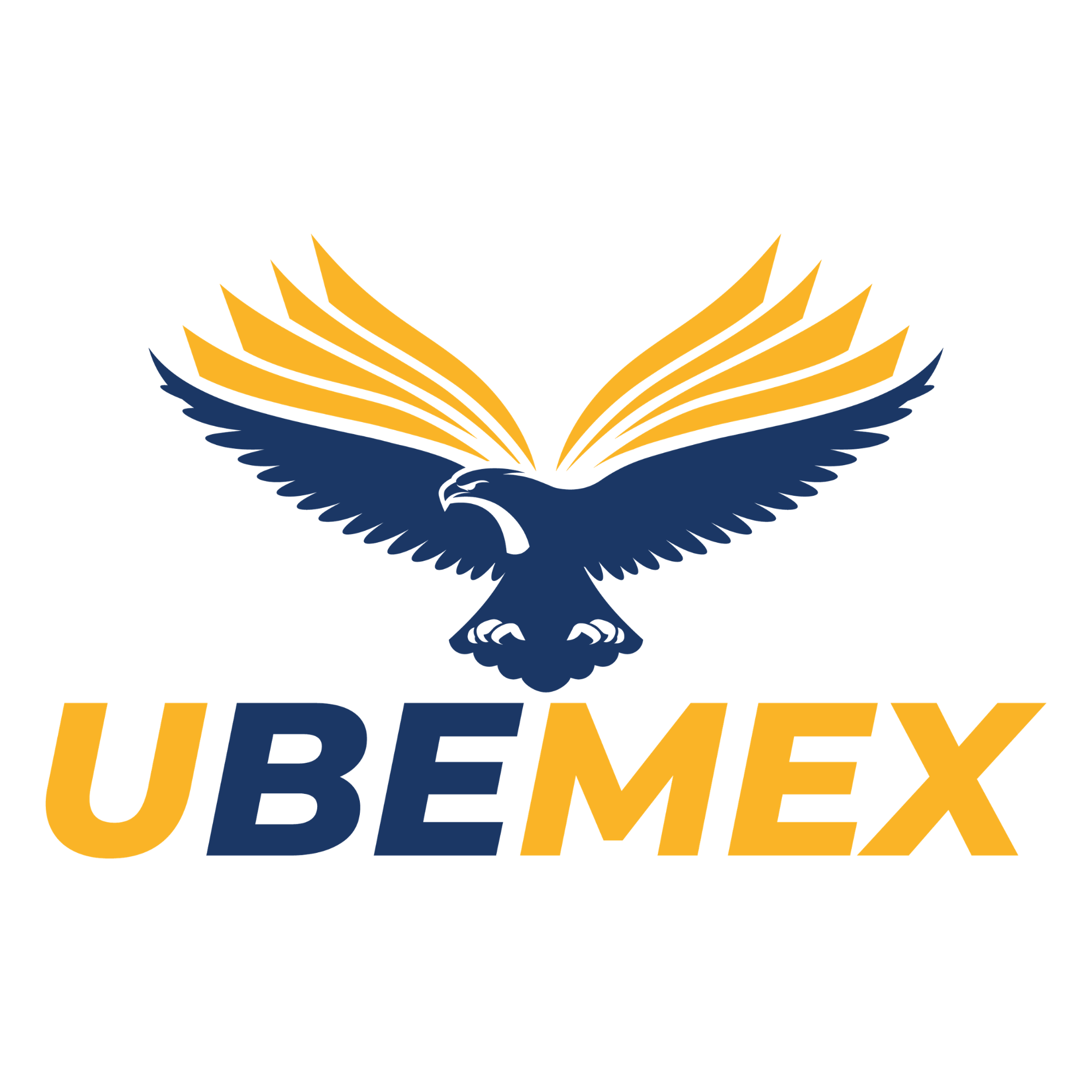 UBEMEX VIRTUAL